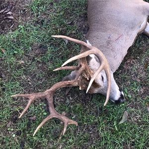 Meet your Posher, Seth